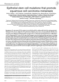 Cover page: Epithelial stem cell mutations that promote squamous cell carcinoma metastasis.