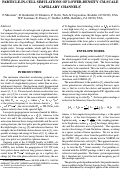 Cover page: Particle-in-cell simulations of lower-density CM-scale capillary channels