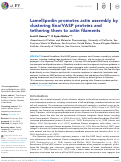 Cover page: Lamellipodin promotes actin assembly by clustering Ena/VASP proteins and tethering them to actin filaments