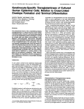 Cover page: Keratinocyte-specific transglutaminase of cultured human epidermal cells: Relation to cross-linked envelope formation and terminal differentiation