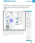 Cover page: Transmission electron microscopic analysis of myelination in the murine central nervous system