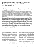 Cover page: PDX1 dynamically regulates pancreatic ductal adenocarcinoma initiation and maintenance