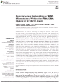 Cover page: Spontaneous Embedding of DNA Mismatches Within the RNA:DNA Hybrid of CRISPR-Cas9