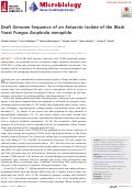 Cover page: Draft Genome Sequence of an Antarctic Isolate of the Black Yeast Fungus Exophiala mesophila