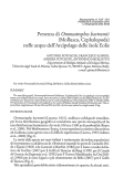 Cover page: Presenza di <i>Ommastrephes bartramii</i> (Mollusca, Cephalopoda) nelle acque dell'Arcipelago delle Isole Eolie