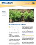 Cover page: Herbicide Symptoms on Hemp