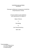 Cover page: Phenotypic and Molecular Consequences of OsPSTOL1 Ectopic Expression in Wheat