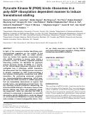 Cover page: Pyruvate Kinase M (PKM) binds ribosomes in a poly-ADP ribosylation dependent manner to induce translational stalling.