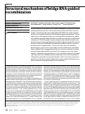 Cover page: Structural mechanism of bridge RNA-guided recombination.