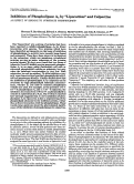 Cover page: Inhibition of phospholipase A2 by "lipocortins" and calpactins. An effect of binding to substrate phospholipids.