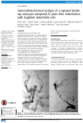 Cover page: Immunohistochemical analysis of a ruptured basilar top aneurysm autopsied 22 years after embolization with Guglielmi detachable coils