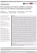 Cover page: Root morphology and exudate availability are shaped by particle size and chemistry in Brachypodium distachyon