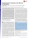 Cover page: Structural basis for diversity in the SAM clan of riboswitches