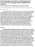 Cover page of tRNA-Derived Fragments as Post-Transcriptional Regulators of Oncogenes and Tumor Suppressor Genes in Papillary Thyroid Carcinoma
