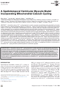Cover page: A Spatiotemporal Ventricular Myocyte Model Incorporating Mitochondrial Calcium Cycling