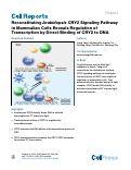 Cover page: Reconstituting Arabidopsis CRY2 Signaling Pathway in Mammalian Cells Reveals Regulation of Transcription by Direct Binding of CRY2 to DNA