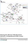 Cover page: Inferring the effective TOR-dependent network: a computational study in yeast