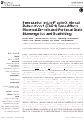 Cover page: Premutation in the Fragile X Mental Retardation 1 (FMR1) Gene Affects Maternal Zn-milk and Perinatal Brain Bioenergetics and Scaffolding