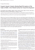 Cover page: Synaptic Inputs Compete during Rapid Formation of the Calyx of Held: A New Model System for Neural Development