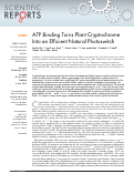 Cover page: ATP Binding Turns Plant Cryptochrome Into an Efficient Natural Photoswitch