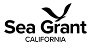 Research Theses and Dissertations banner