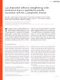 Cover page: α4β1-dependent adhesion strengthening under mechanical strain is regulated by paxillin association with the α4-cytoplasmic domain