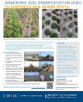 Cover page of Anaerobic Soil Disinfestation (ASD) to suppress soil borne pests