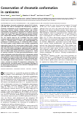 Cover page: Conservation of chromatin conformation in carnivores