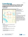 Cover page: Conserved SUN-KASH Interfaces Mediate LINC Complex-Dependent Nuclear Movement and Positioning