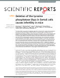 Cover page: Deletion of the tyrosine phosphatase Shp2 in Sertoli cells causes infertility in mice.