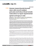 Cover page: Human mesenchymal stromal/stem cells recruit resident pericytes and induce blood vessels maturation to repair experimental spinal cord injury in rats.