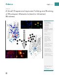 Cover page: A Small Chaperone Improves Folding and Routing of Rhodopsin Mutants Linked to Inherited Blindness.