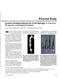 Cover page: Custom endoprostheses for limb salvage: a historical perspective and imaging evaluation.