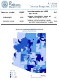 Cover page: Arizona Census Snapshot: 2010
