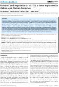 Cover page: Function and regulation of AUTS2, a gene implicated in autism and human evolution.