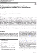 Cover page: The Triticum ispahanicum elongated glume locus P2 maps to chromosome 6A and is associated with the ectopic expression of SVP-A1