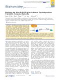 Cover page: Exploring the Role of AUG Triplets in Human Cap-Independent Translation Enhancing Elements