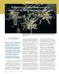 Cover page: Prospects for integrated control of olive fruit fly are promising in California