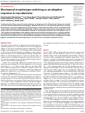 Cover page: Mechanical morphotype switching as an adaptive response in mycobacteria