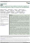 Cover page: Myeloid spatial and transcriptional molecular signature of ischemia-reperfusion injury in human liver transplantation