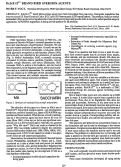 Cover page: ReJeX-iT™ brand bird aversion agents