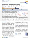 Cover page of Native Chemical Ligation of Peptoid Oligomers
