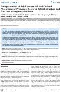 Cover page: Transplantation of Adult Mouse iPS Cell-Derived Photoreceptor Precursors Restores Retinal Structure and Function in Degenerative Mice