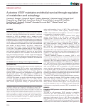 Cover page: Autocrine VEGF maintains endothelial survival through regulation of metabolism and autophagy