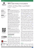 Cover page: NMDA receptor binding in focal epilepsies