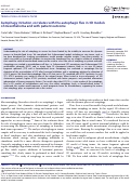 Cover page: Autophagy initiation correlates with the autophagic flux in 3D models of mesothelioma and with patient outcome