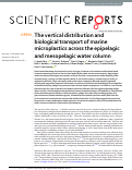 Cover page: The vertical distribution and biological transport of marine microplastics across the epipelagic and mesopelagic water column