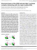 Cover page: Structural basis of the XPB helicase–Bax1 nuclease complex interacting with the repair bubble DNA