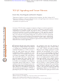 Cover page: TGF-β1 Signaling and Tissue Fibrosis