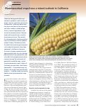 Cover page: Pharmaceutical crops have a mixed outlook in California